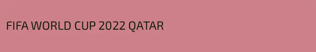 FIFA WORLD CUP 2022 QATAR